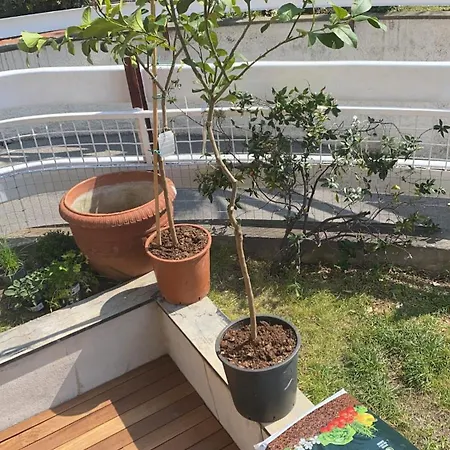 Sea View With Garden * Genoa